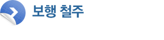 보행 철주