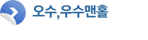 오수, 우수맨홀
